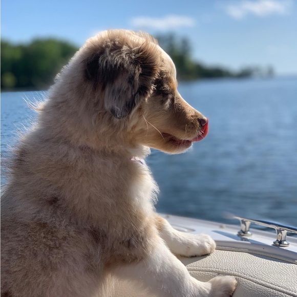 I’m Corinne! Thanks for stopping by to get to know me 😁 - Picture 5 of 14